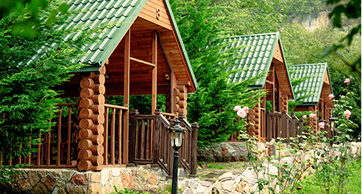 Fileira de chalés rústicos de madeira com telhados verdes triangulares, cercados por pinheiros e roseiras, situados em uma área de preservação ou camping de luxo.